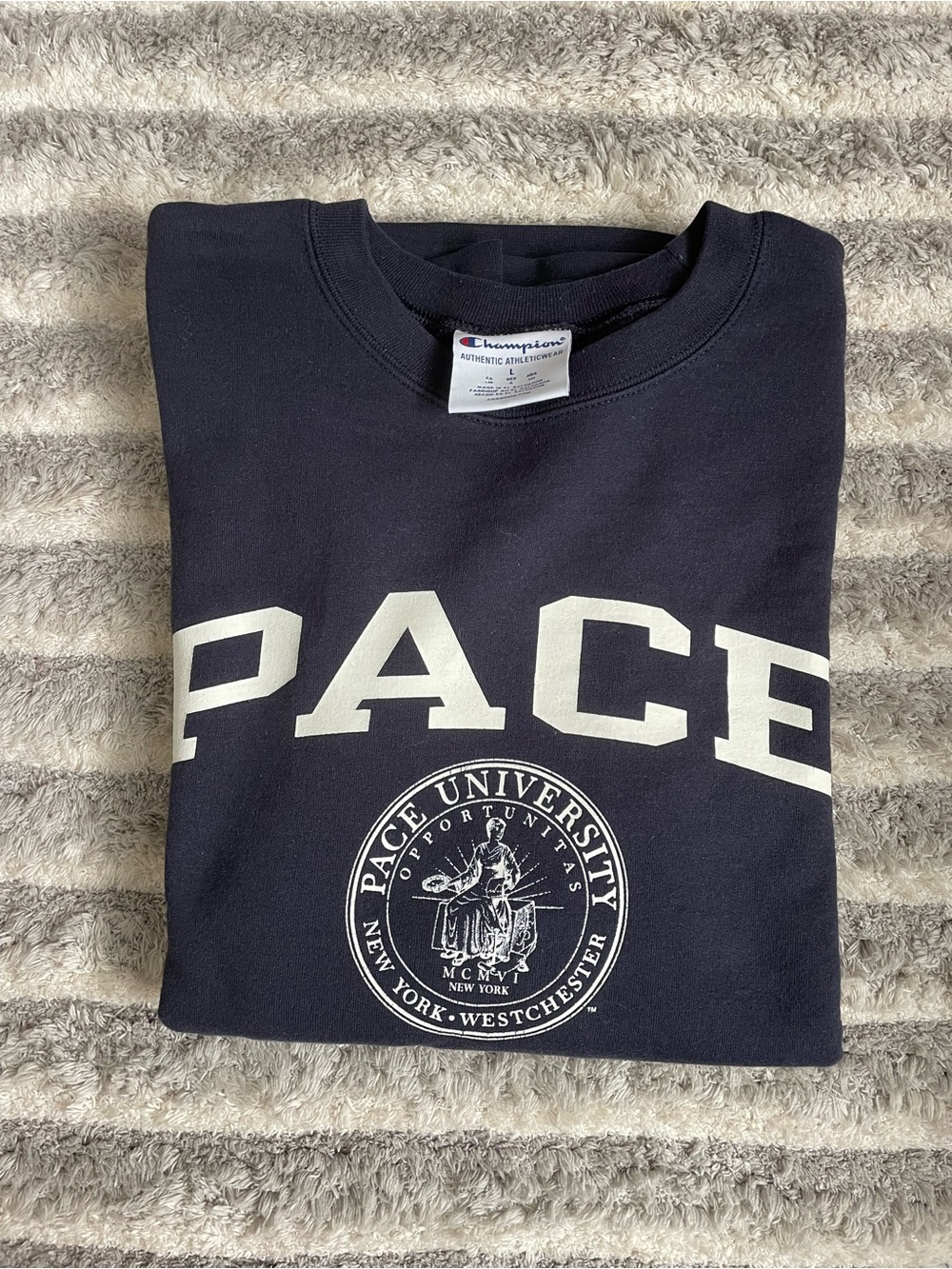 Pace UniversityChampion Navy Crewneck Sweatshirt